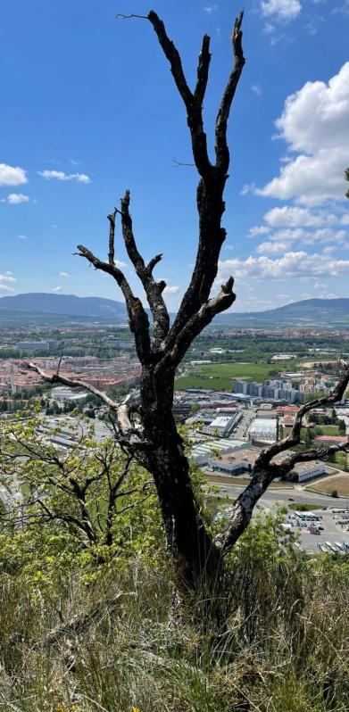 Fotos de la primavera enviadas por los lectores de diariodenavarra.es