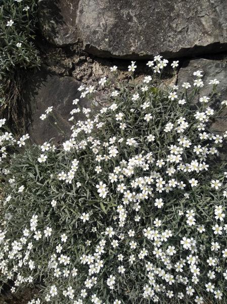 Fotos de la primavera enviadas por los lectores de diariodenavarra.es