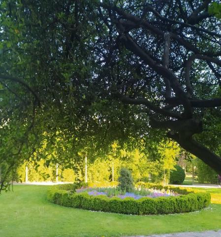 Fotos de la primavera enviadas por los lectores de diariodenavarra.es