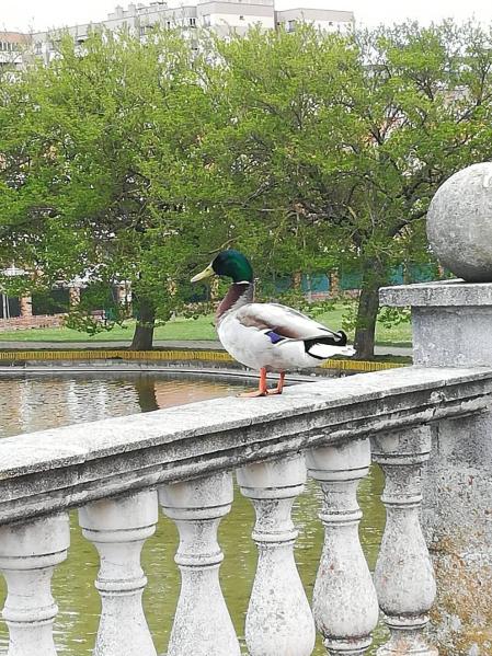 Fotos de la primavera enviadas por los lectores de diariodenavarra.es