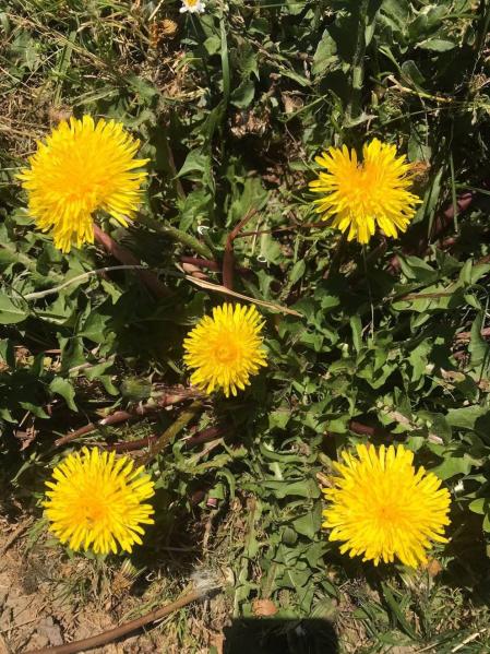 Fotos de la primavera enviadas por los lectores de diariodenavarra.es