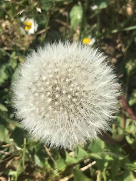 Fotos de la primavera enviadas por los lectores de diariodenavarra.es
