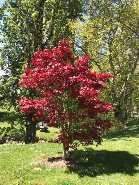 Fotos de la primavera enviadas por los lectores de diariodenavarra.es