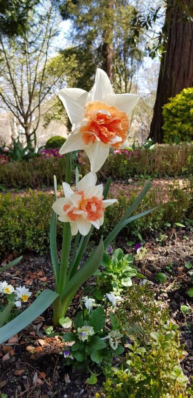 Fotos de la primavera enviadas por los lectores de diariodenavarra.es