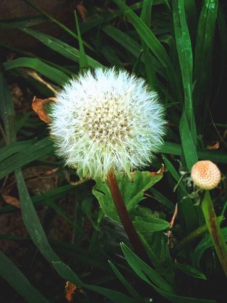 Fotos de la primavera enviadas por los lectores de diariodenavarra.es