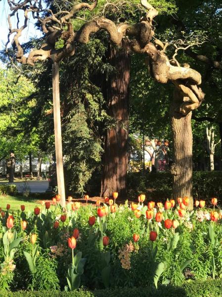 Fotos de la primavera enviadas por los lectores de diariodenavarra.es