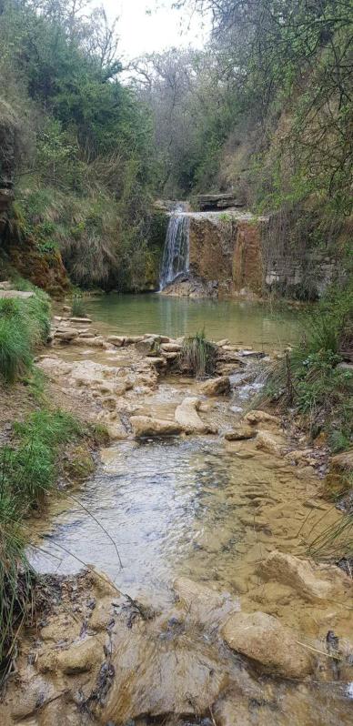 Fotos de la primavera enviadas por los lectores de diariodenavarra.es