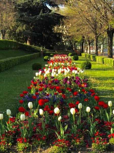 Fotos de la primavera enviadas por los lectores de diariodenavarra.es