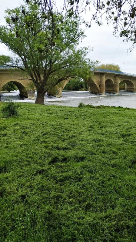 Fotos de la primavera enviadas por los lectores de diariodenavarra.es