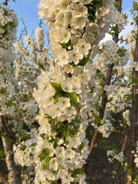 Fotos de la primavera enviadas por los lectores de diariodenavarra.es