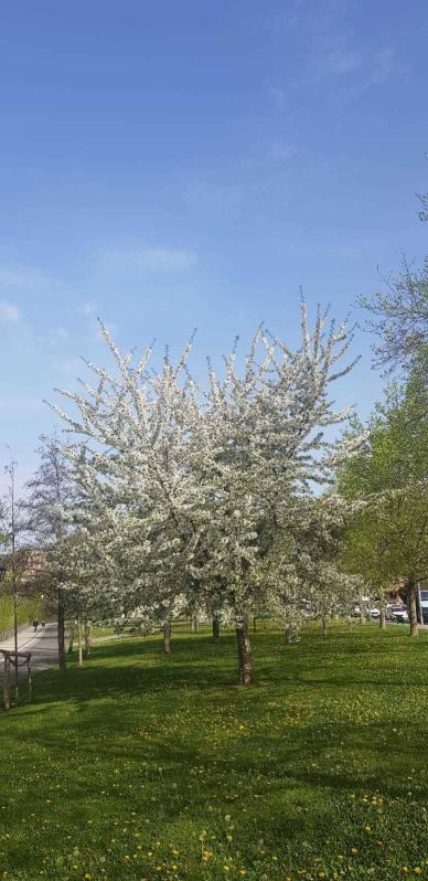 Fotos de la primavera enviadas por los lectores de diariodenavarra.es