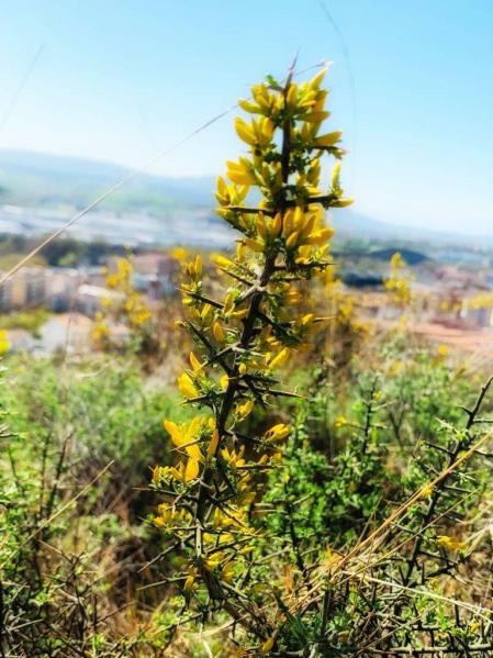 Fotos de la primavera enviadas por los lectores de diariodenavarra.es