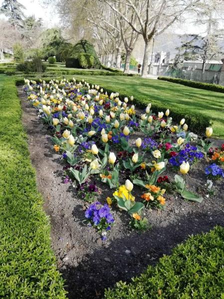 Fotos de la primavera enviadas por los lectores de diariodenavarra.es