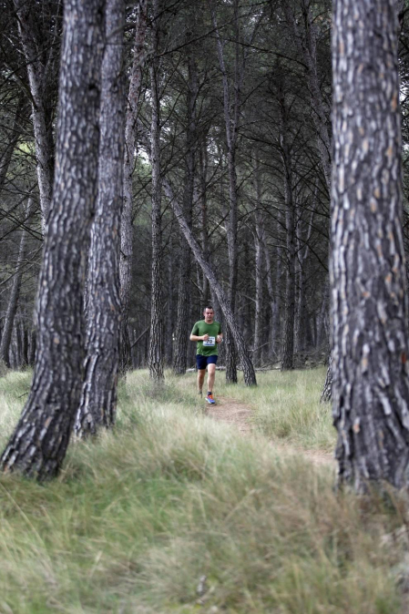 Todas las fotos del I Trail Pinares de Lerín.