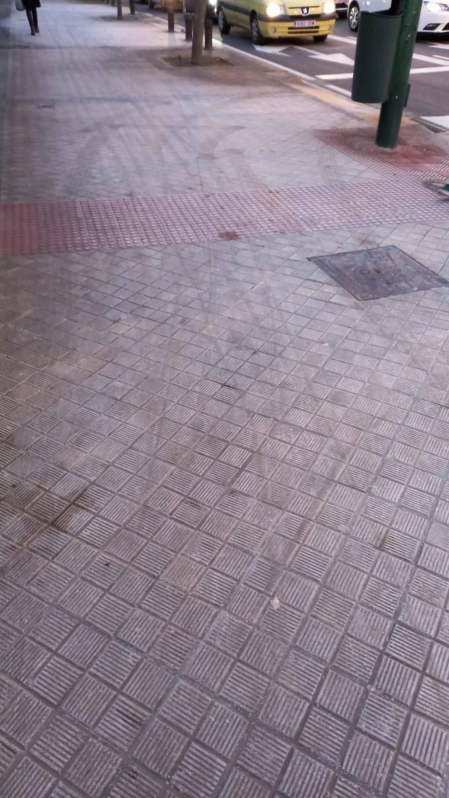 Fotografía que muestra la helada sobre la acera en el Seminario