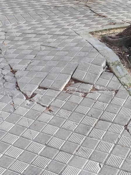 Acera levantada en la avenida Zaragoza, 95. Peligro de caídas.