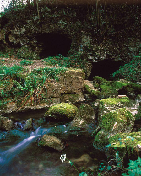 Entradas de la Cueva del Lloviu, en el concejo de Villaviciosa, junto al río España (Asturias)