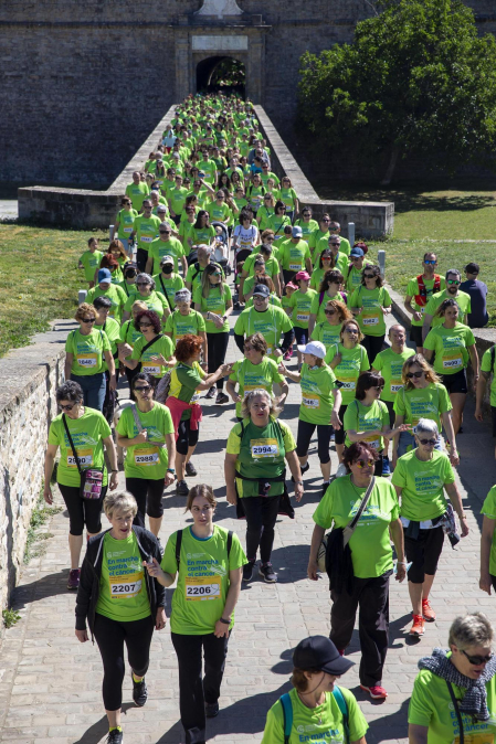 Marcha contra el Cáncer por la Investigación en Pamplona.