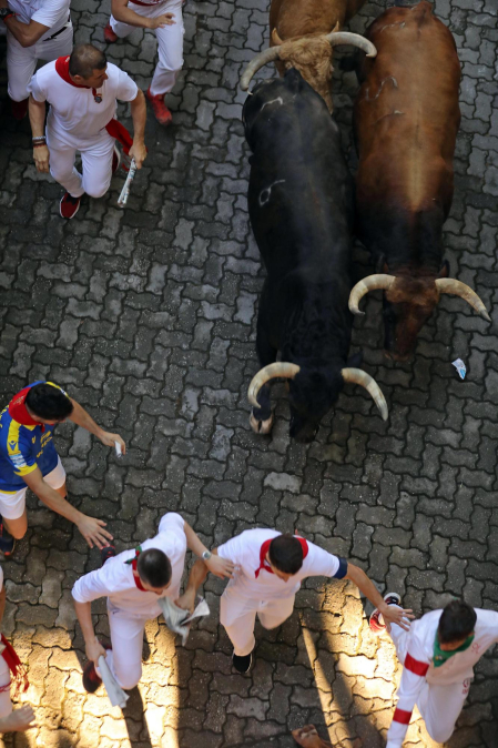 Encierro del 7 de julio 2022. Toros de Núñez del Cuvillo.