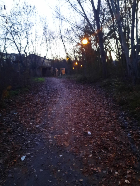 Paseo por el Sadar