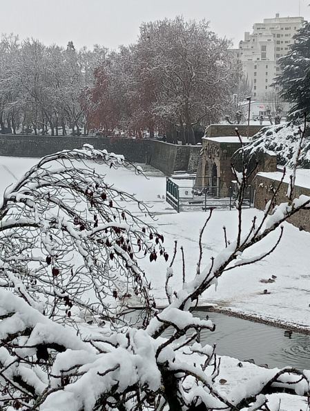 Nevada en Pamplona.
