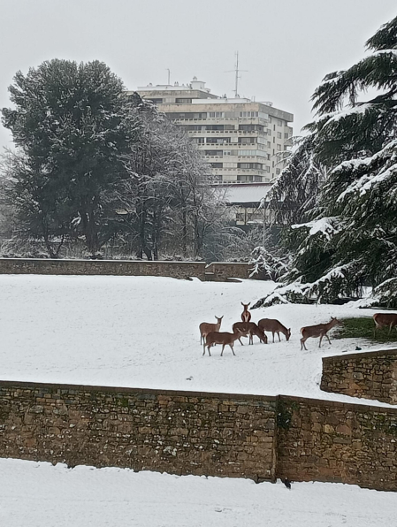 Nevada en Pamplona.