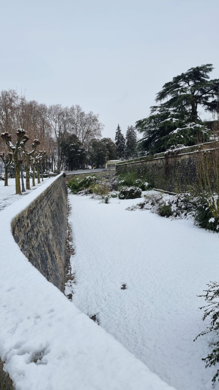 Nevada en Pamplona.