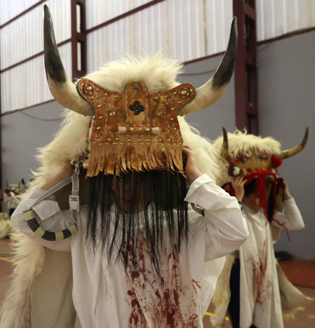 Imágenes del carnaval de Alsasua