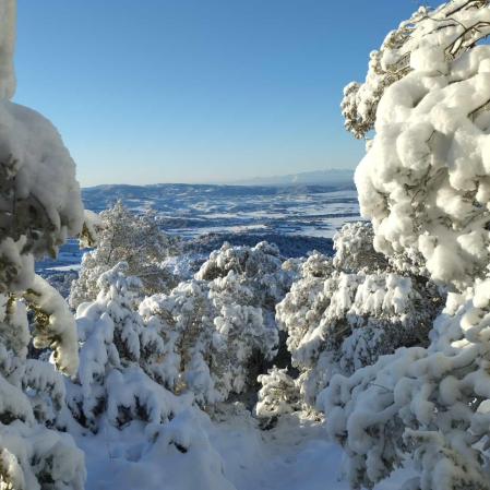 Invierno lectores