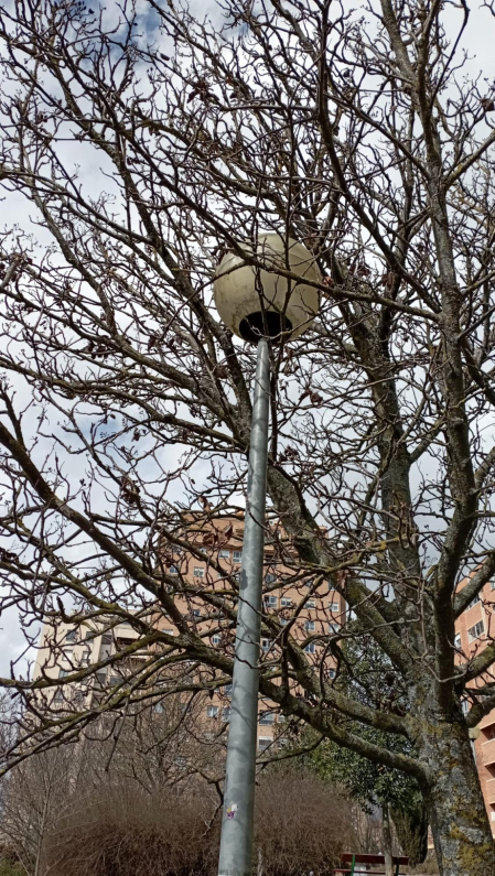 Para cambiar la lámpara de esta farola de la calle de Luis Morondo habrá que podar el árbol