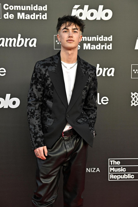 Imágenes de la alfombra roja de los premios 'Ídolo'