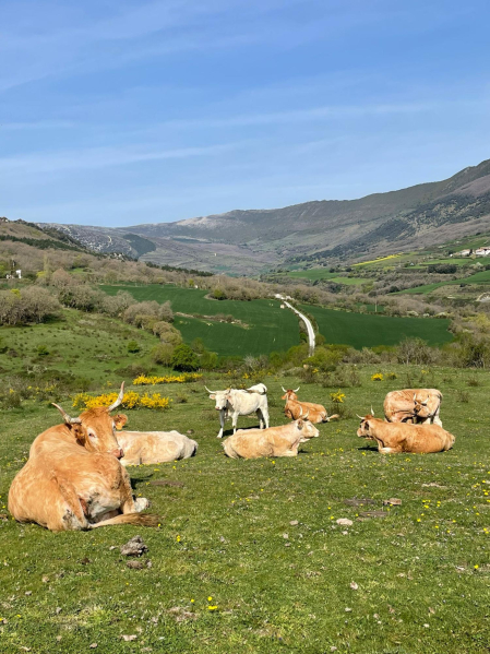 Valle de Ollo. /