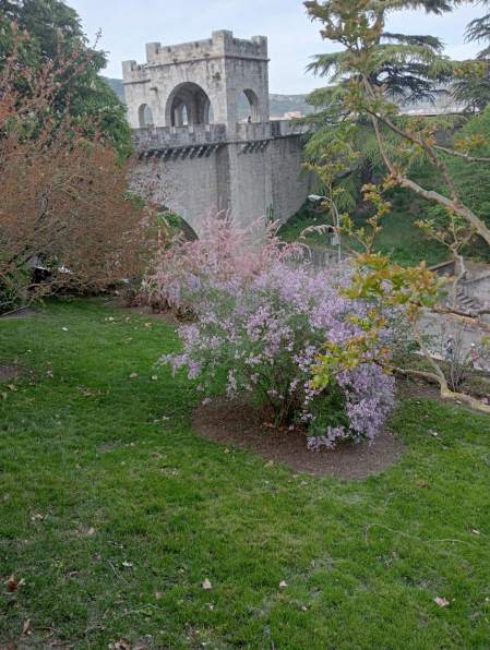 Portal Nuevo (Taconera).