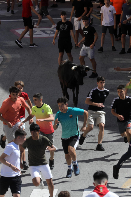 Fotos de las vaquillas en las fiestas de Mutilva./