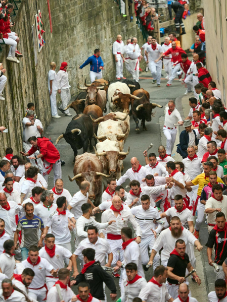 Primer encierro de San Fermín en el tramo de Santo Domingo