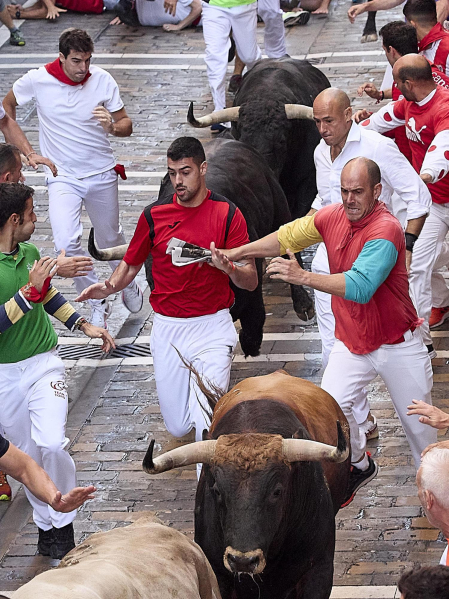 Estafeta, cuarto encierro.