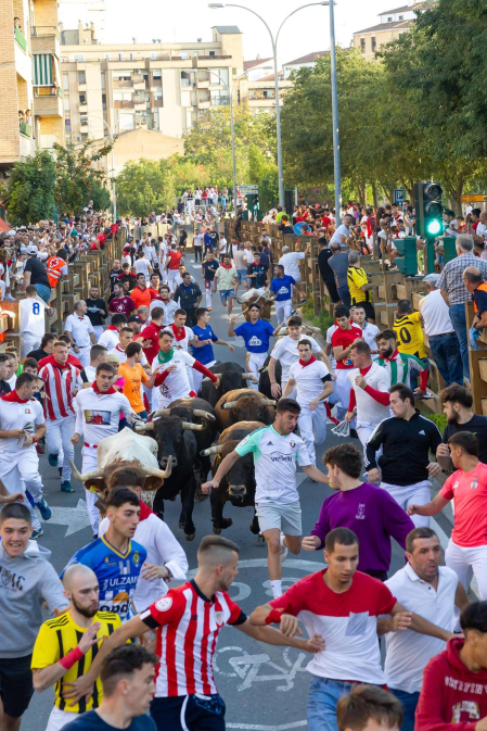 Fotos del quinto encierro de las fiestas de Tudela