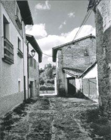 Primer premio del concurso de fotografía. Ganadora: Lorea Molina