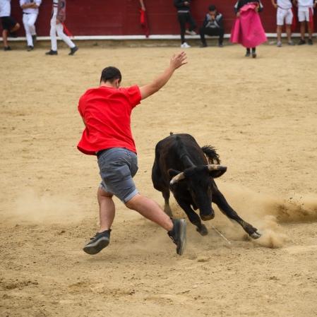 Agosto en Navarra.