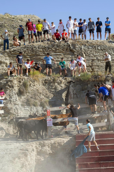 Encierro del Estrecho de Arguedas.
