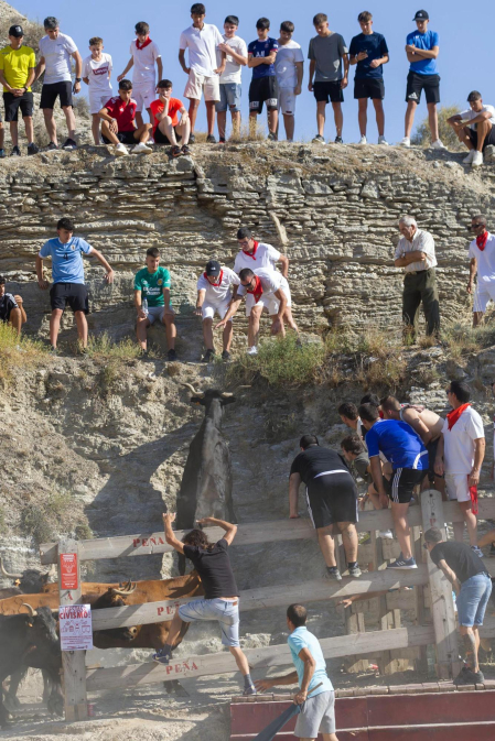Encierro del Estrecho de Arguedas.