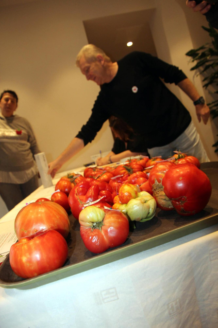 Fotos del Concurso de Tomate Feo de Tudela 2023.