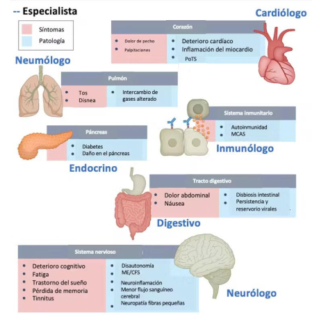 Esquema de los síntomas de la covid persistente