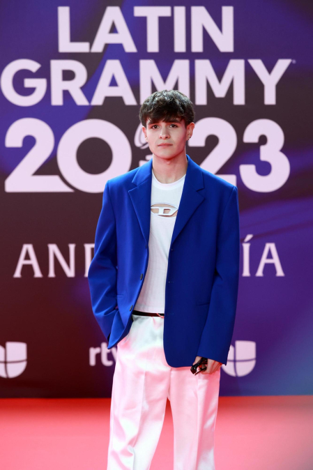 Fotos de la alfombra roja de la gala de los Latin Grammy en Sevilla. /