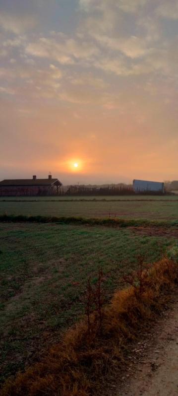 Amanecer. /