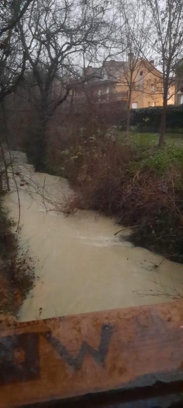 Río Sadar a su paso por Mutilva el 7 de enero.