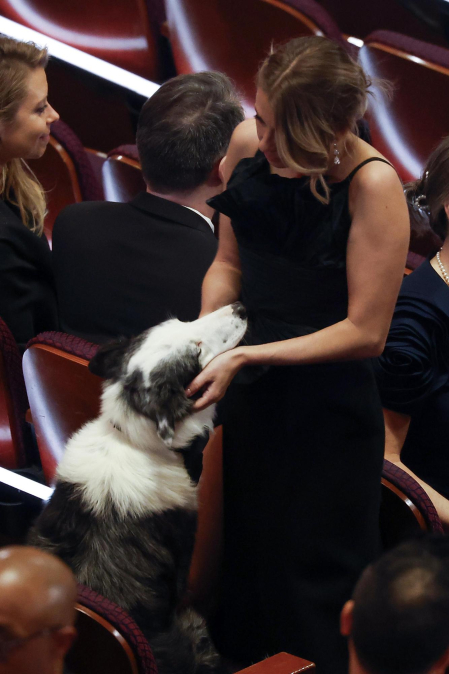 Fotos de la gala de los Oscar 2024. /