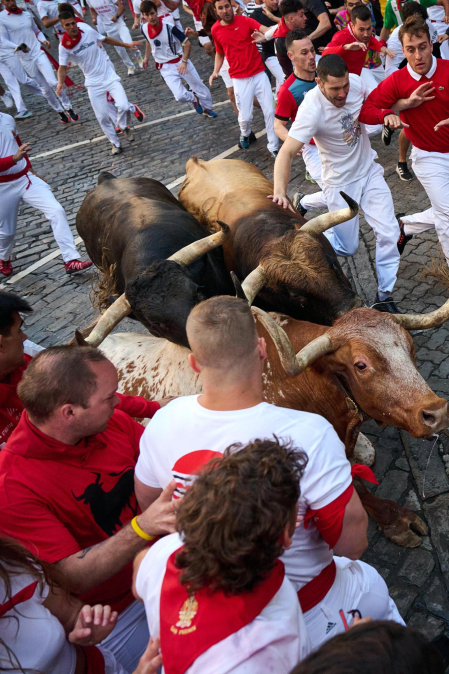 Los toros de La Palmosilla enfilan la Curva de Telefónica