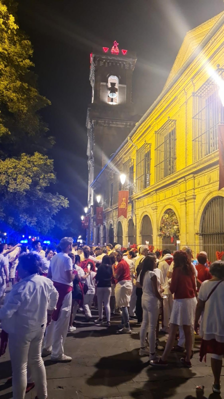 Fotos de la ofrenda de pañuelicos en San Fermín el 14 de julio