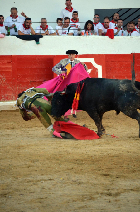 Fotos de la novillada y la cornada a Miguel Serrano en Peralta. /